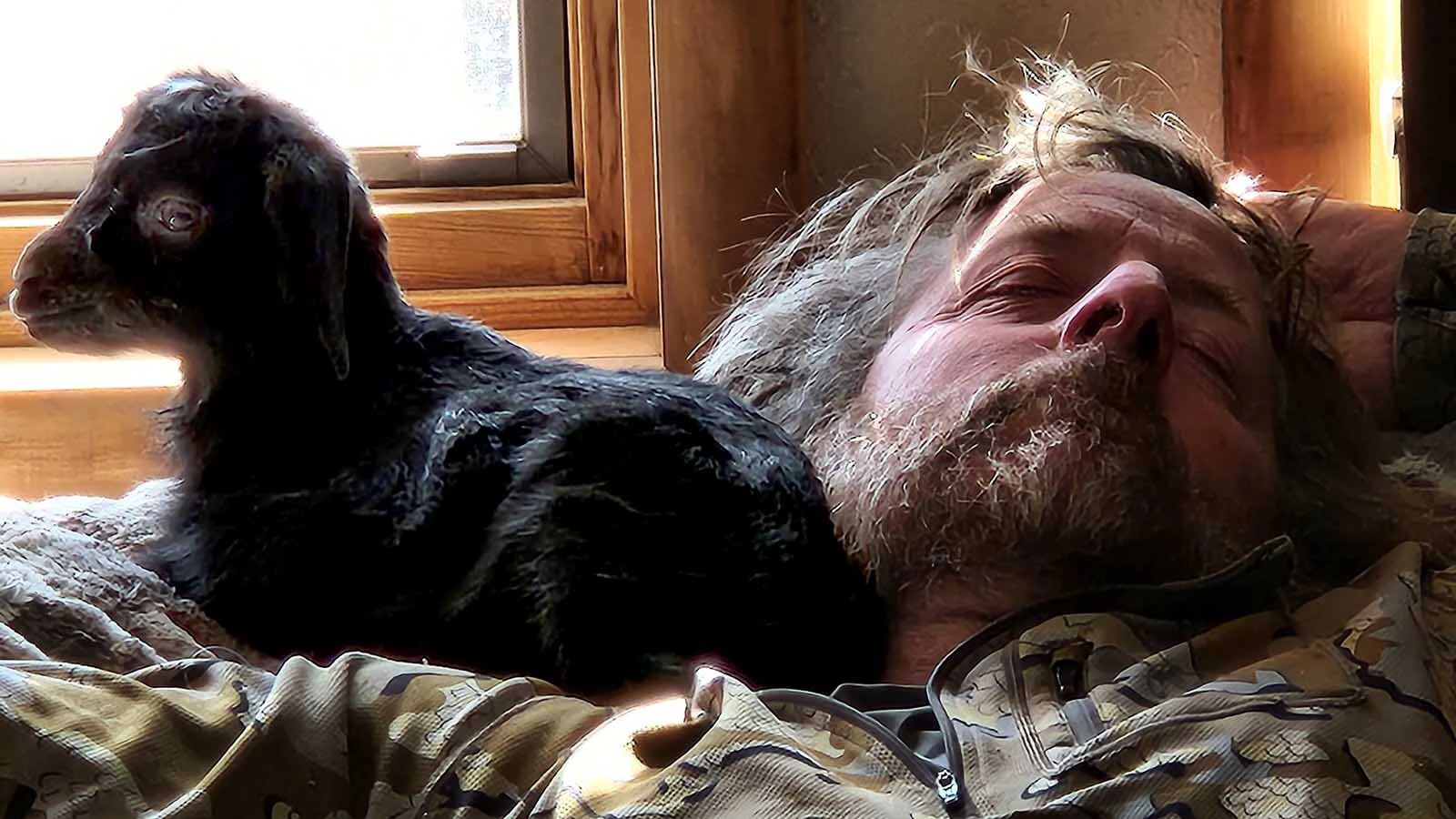 Buffalo Navy veteran Lonnie Frericks thought his dream of being a farmer was past. Then he came to Buffalo, Wyoming, where the veteran and a tiny runt goat named Tenacity crossed paths. “If you live, I’ll take care of you,” he promised.