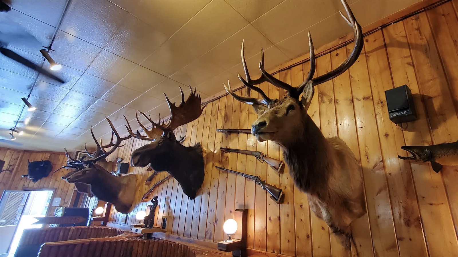 The Wall of Fame at the Rustic Pine Tavern in Dubois.