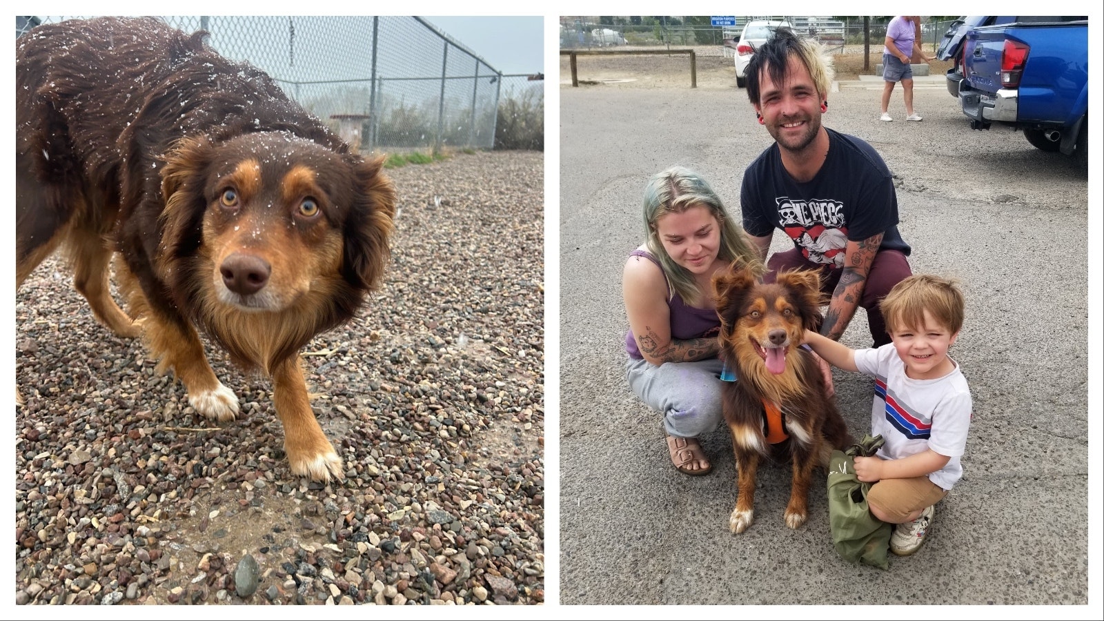 Rusty after he first arrived at the shelter had to be treated for all the ticks that were on him. At right, Rusty meets his new family. Addison, left, Allen, and Aiden Miller drove from Sapulpa, Oklahoma, to pick him up.