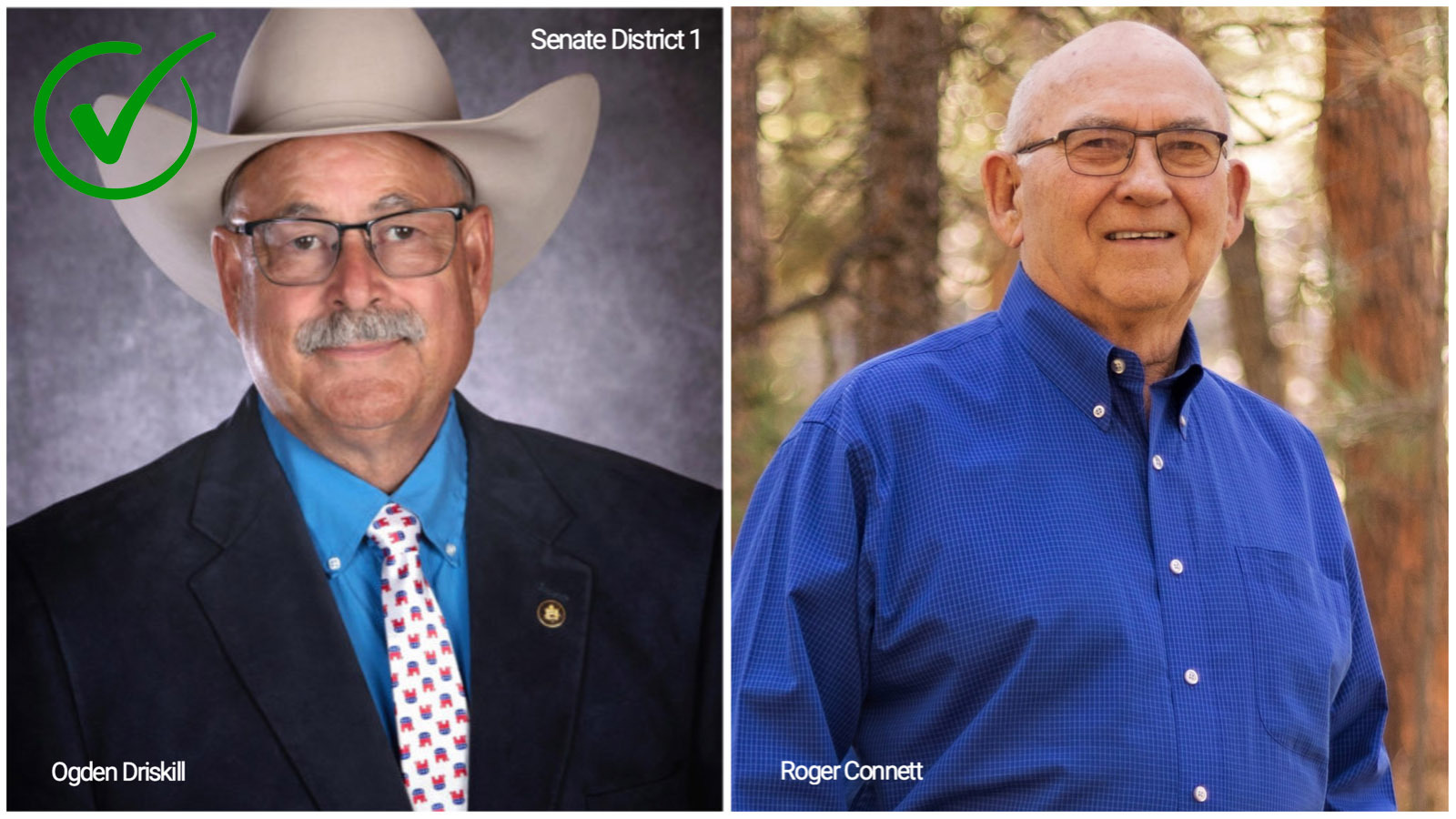 Ogden Driskill, RDevils Tower, Beats WriteIn… Cowboy State Daily