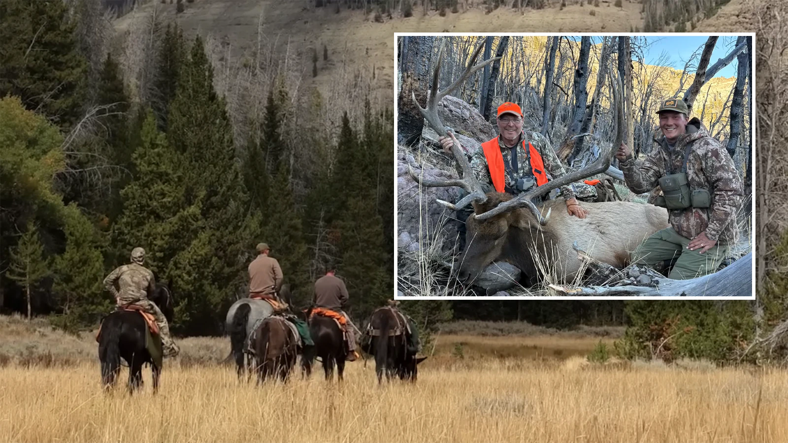 Nonresidents wanting to fulfill their dreams of a Wyoming elk hunt should be willing to shell out a median of $8,000 for a guided hunt, while high-end adventures can hit $30,000.