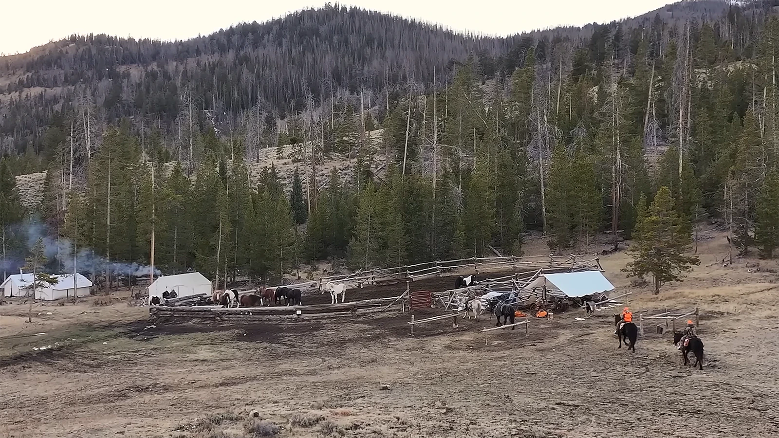 Nonresidents wanting to fulfill their dreams of a Wyoming elk hunt should be willing to shell out a median of $8,000 for a guided hunt, while high-end adventures can hit $30,000.