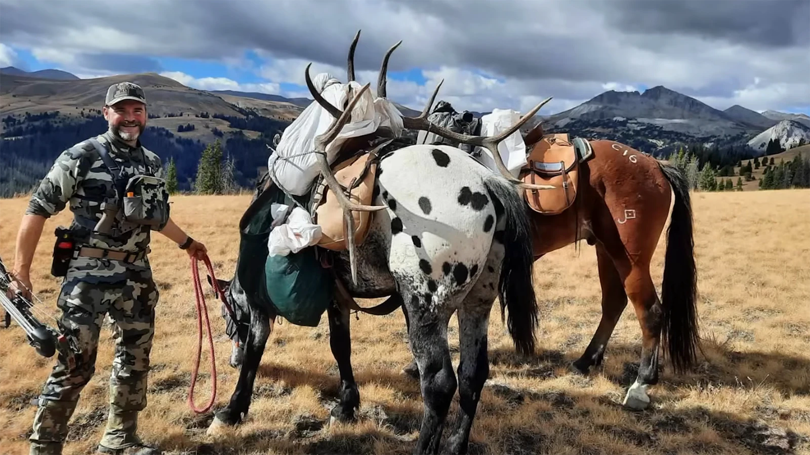 Nonresidents wanting to fulfill their dreams of a Wyoming elk hunt should be willing to shell out a median of $8,000 for a guided hunt, while high-end adventures can hit $30,000.