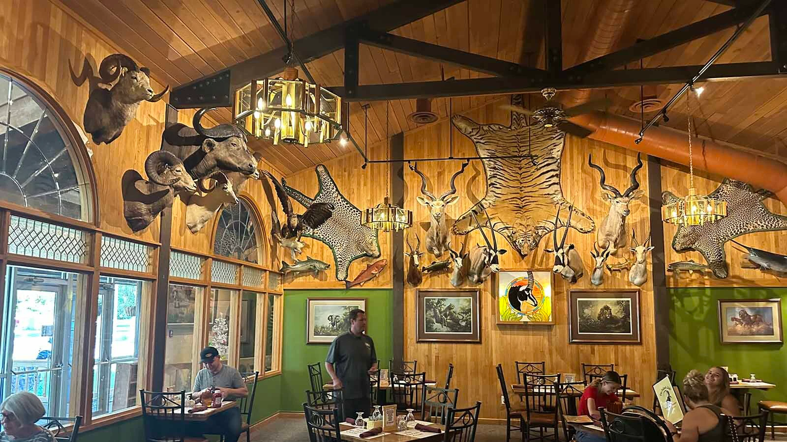 The Safari Club will soon be selling its iconic taxidermy animals representing animals from all over the world. Jim Mills of Thermopolis had spent a lifetime as a big game hunter and displayed his collection for nearly 50 years. The family sold their partnership three years ago and now must find a new home for all the animals. An auction house will be selling them off to the highest bidder.