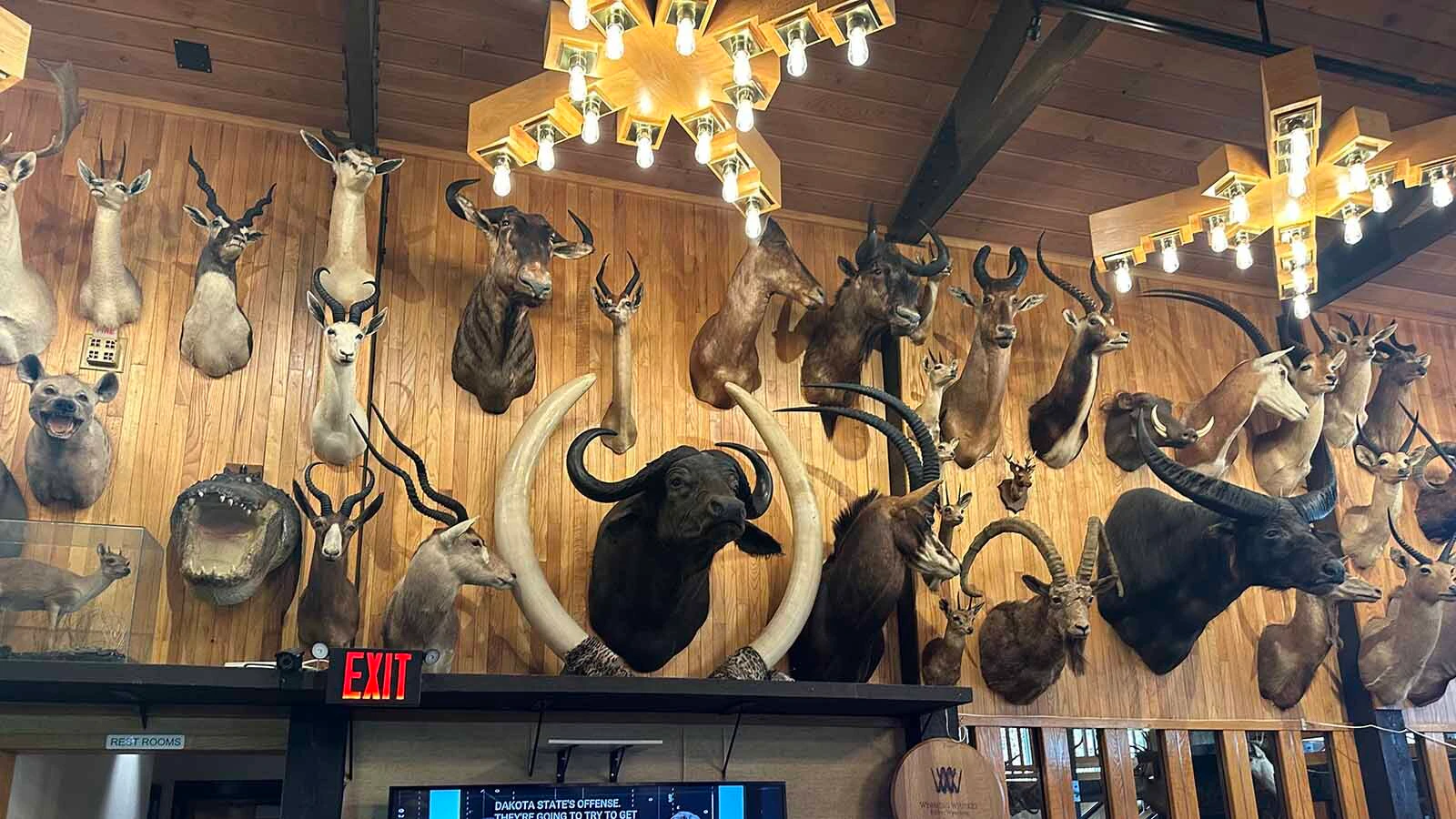 For years, patrons could play pool, hang out at the bar and watch sports beneath the watchful eyes of a large collection of taxidermy animals at the Safari Club in Thermopolis. The collection will be removed next week and brought to auction as the future of the restaurant is uncertain. They lost their lease in the Hot Springs State Park which will expire this October.