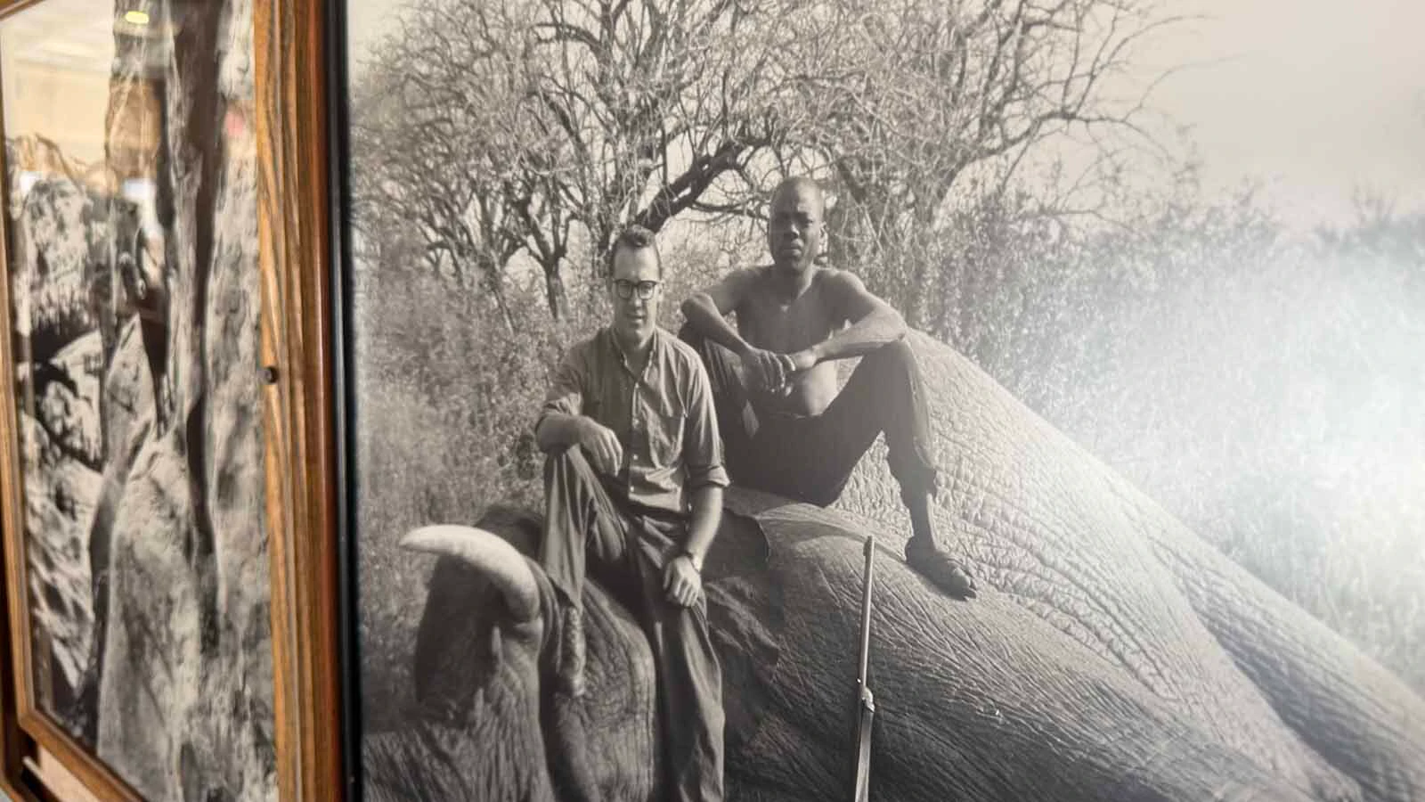 Jim Mills of Thermopolis spent a lifetime as a big game hunter and many of his hunting adventures are on display at the Safari Club in the Hot Springs State Park. His extensive taxidermy collection will be packed up next week to be taken to auction. The photos will remain with the family who say it is a bittersweet end to their father’s legacy and for Thermopolis.