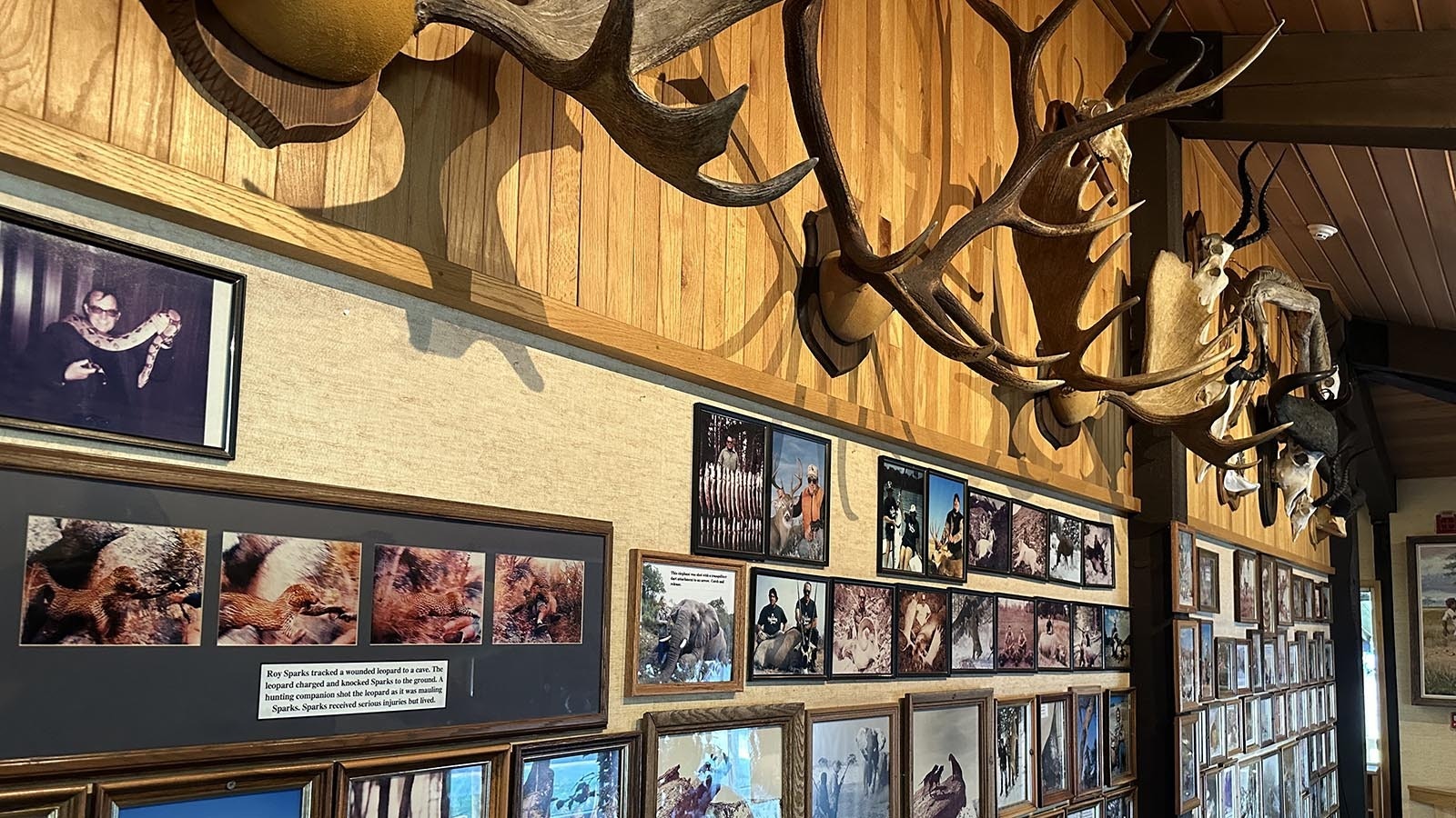 The Wall of Hunting Fame that leads to the Safari Club.