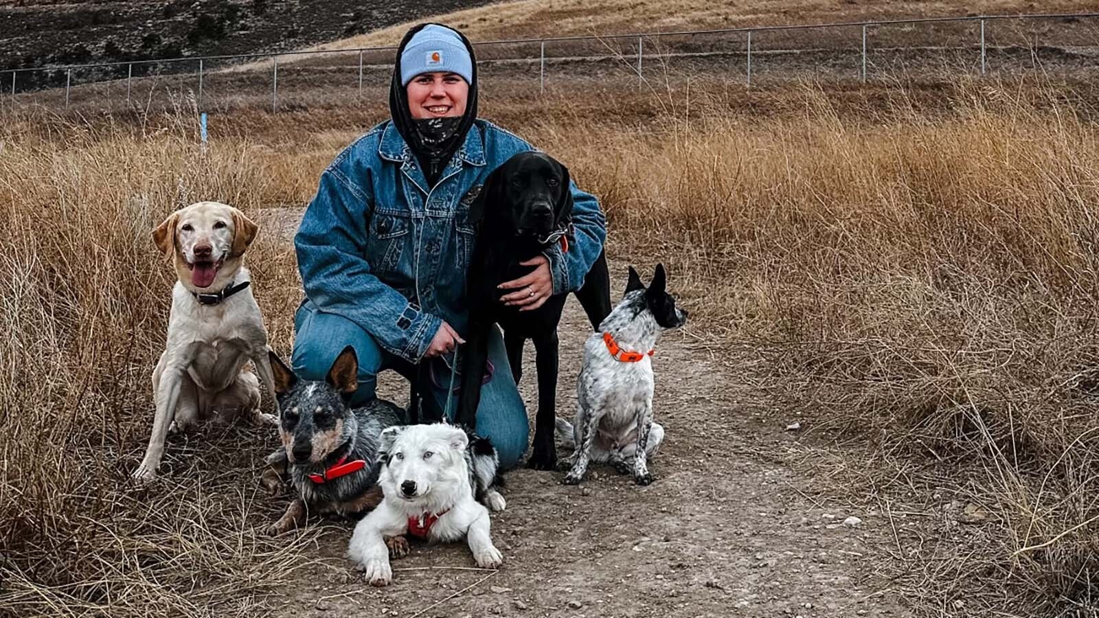 Sally Gallop with her foster dogs in Cody.