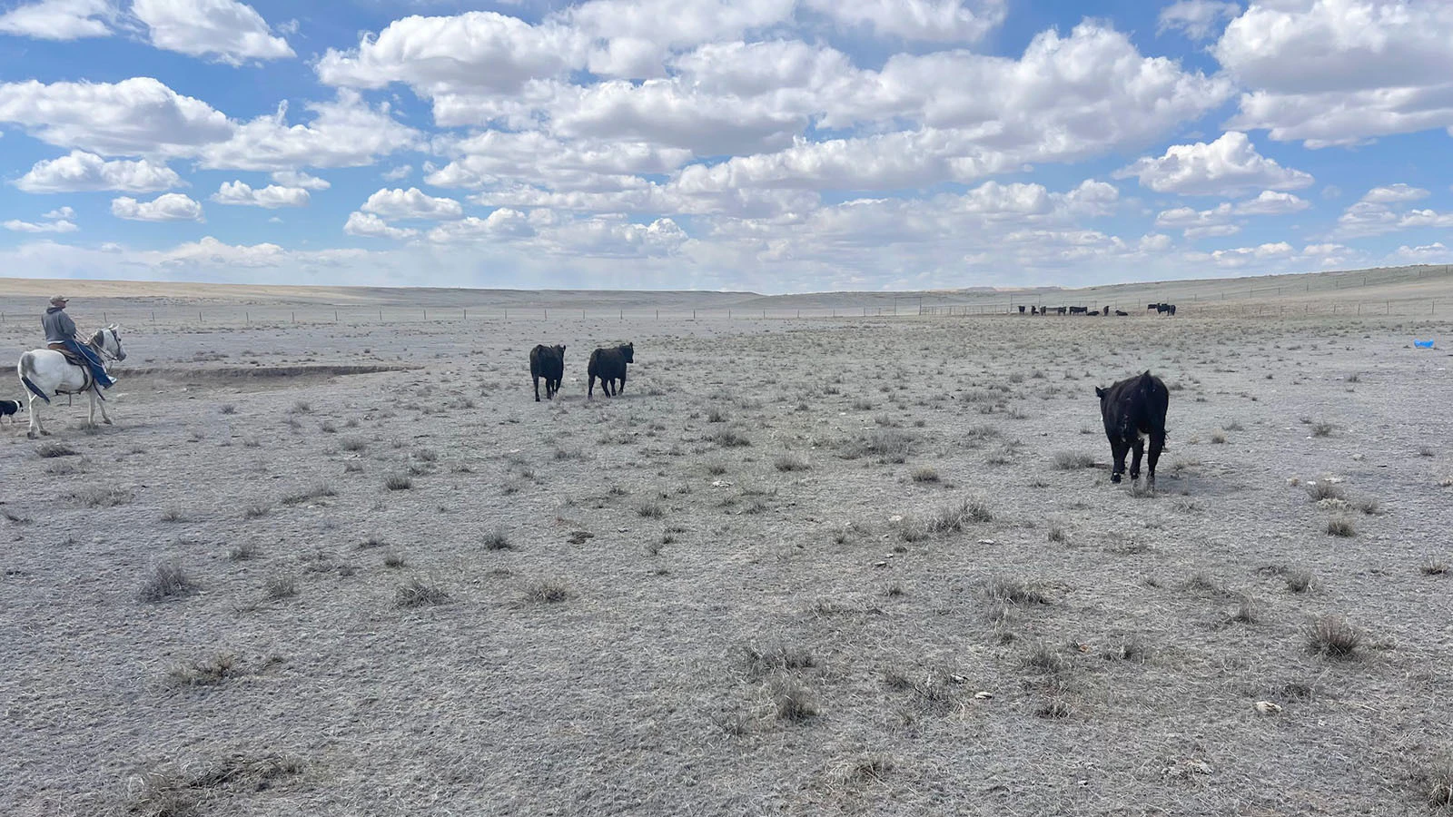 The area of the Salo ranch where wind turbines are proposed.