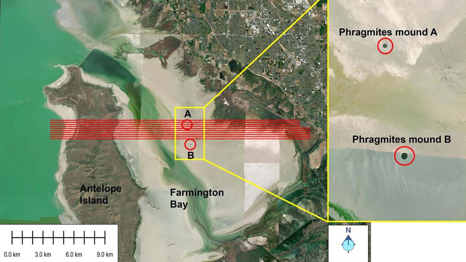 Google Maps view of two circular features along the eastern–southeastern margins of the Great Salt Lake (Farmington Bay); the yellow inset shows a magnified view of the area. The red circles mark the location of the phragmites mounds. Flight-line locations are shown by red lines.