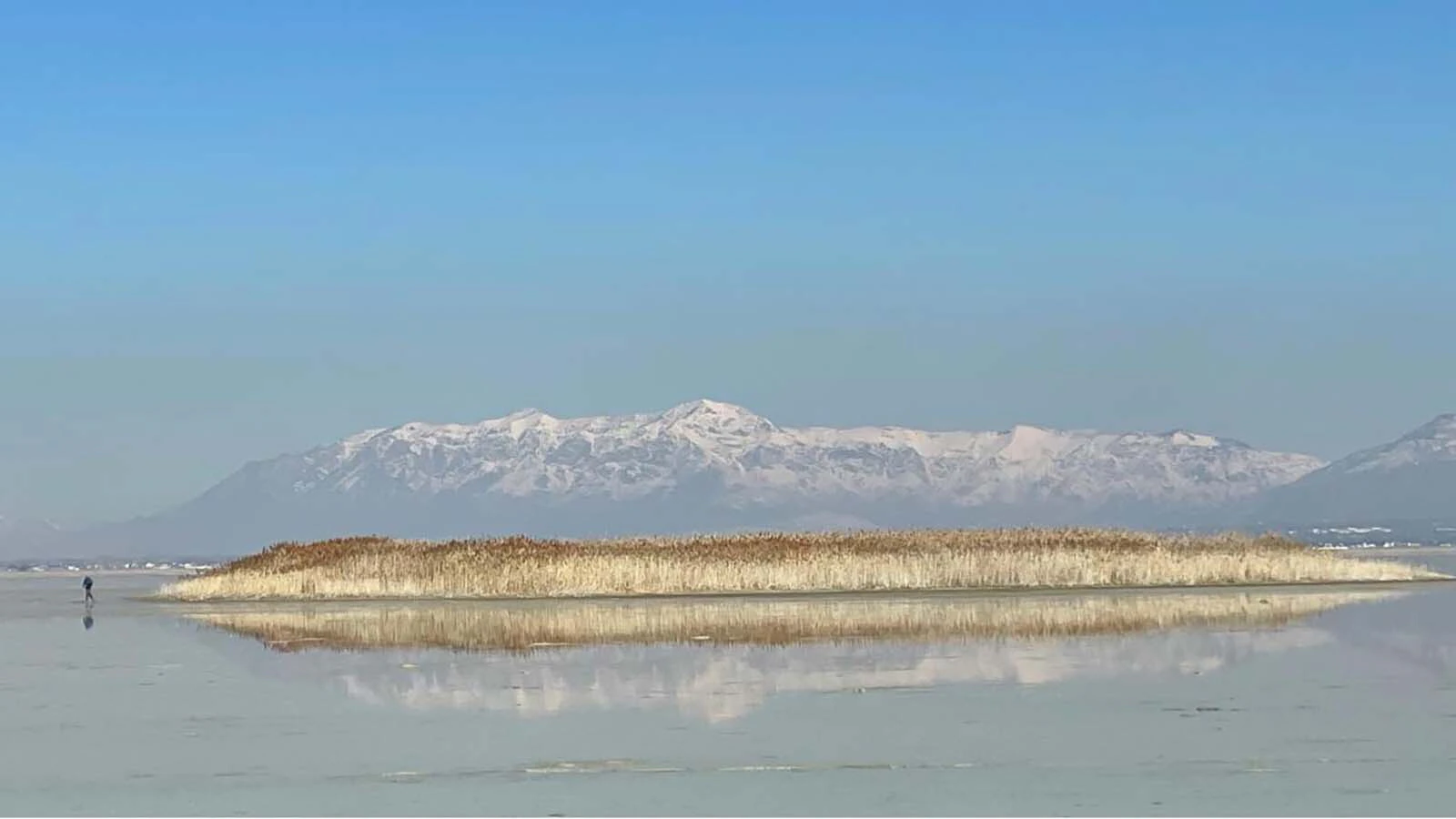 Ground photograph of the phragmites mound A investigated in the airborne survey