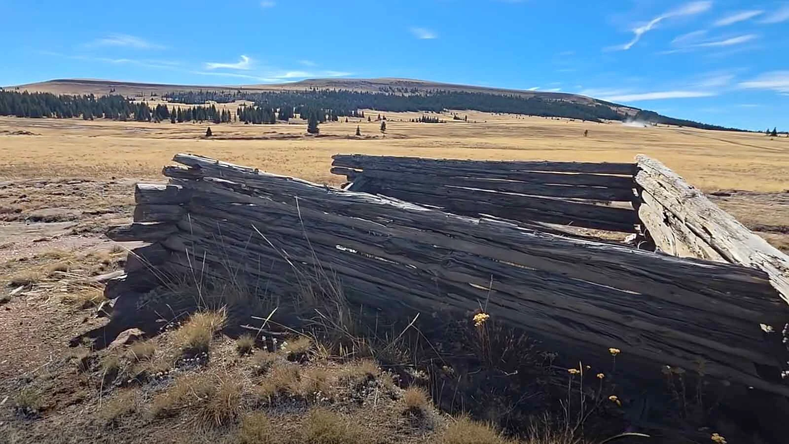 Sara Yeaman was excited to find the nearly forgotten and crumbling cabin of Bob Holland, who is credited with filing the first gold mining claim in the Bald Mountain City, Yeaman said. 