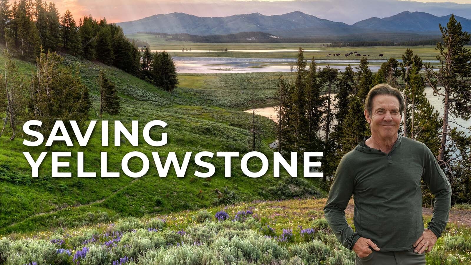 The new series “Saving Yellowstone, with Dennis Quaid” premieres on Animal Planet Wednesday. It was produced by Marc Pierce and the same Montana filmmakers behind “Yellowstone to Yosemite, with Kevin Costner.” It debuts between episodes of “Yellowstone Wardens.”