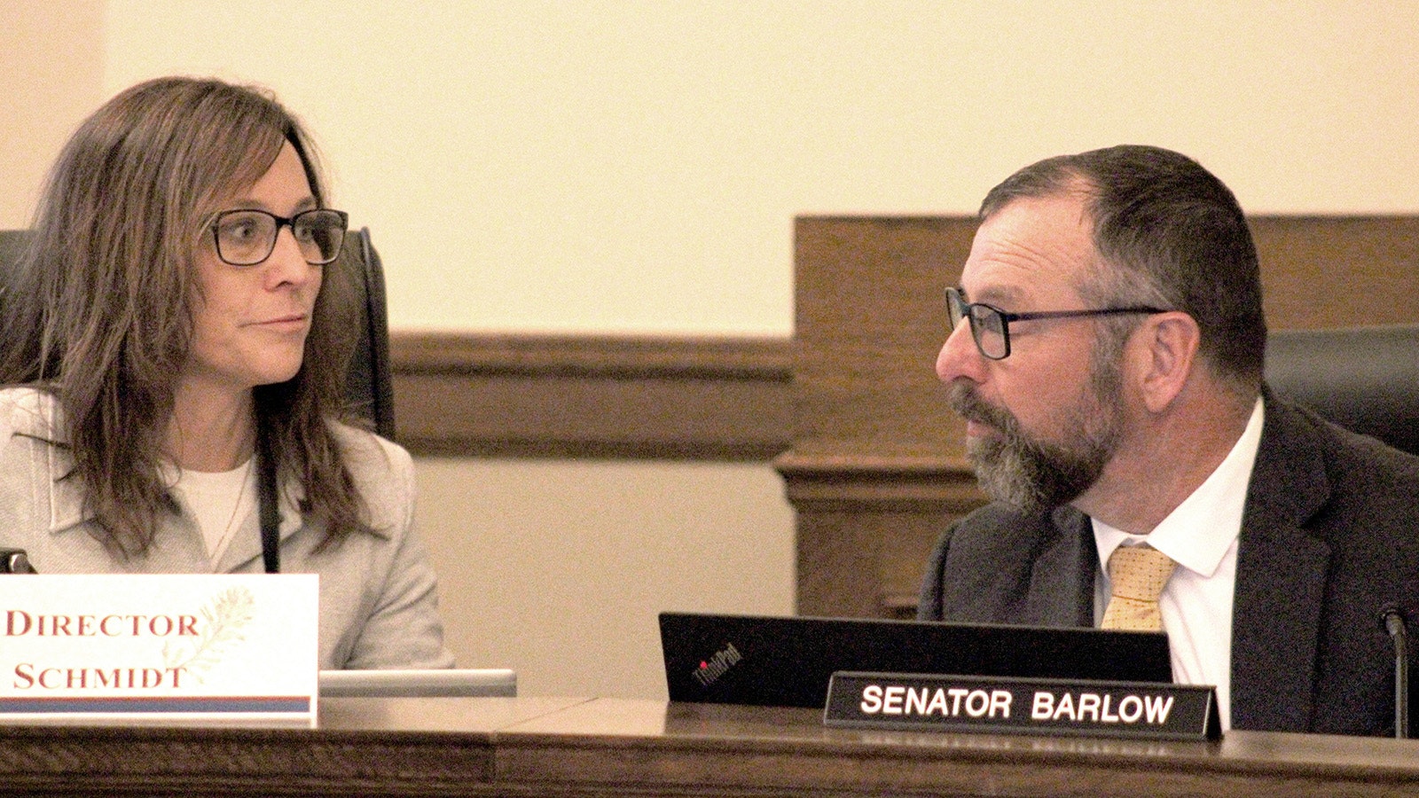 Wyoming DFS Director Karin Schmidt and state Sen. Eric Barlow, R-Gillette, during Friday's meeting of the Mental Health and Vulnerable Adults Task Force.