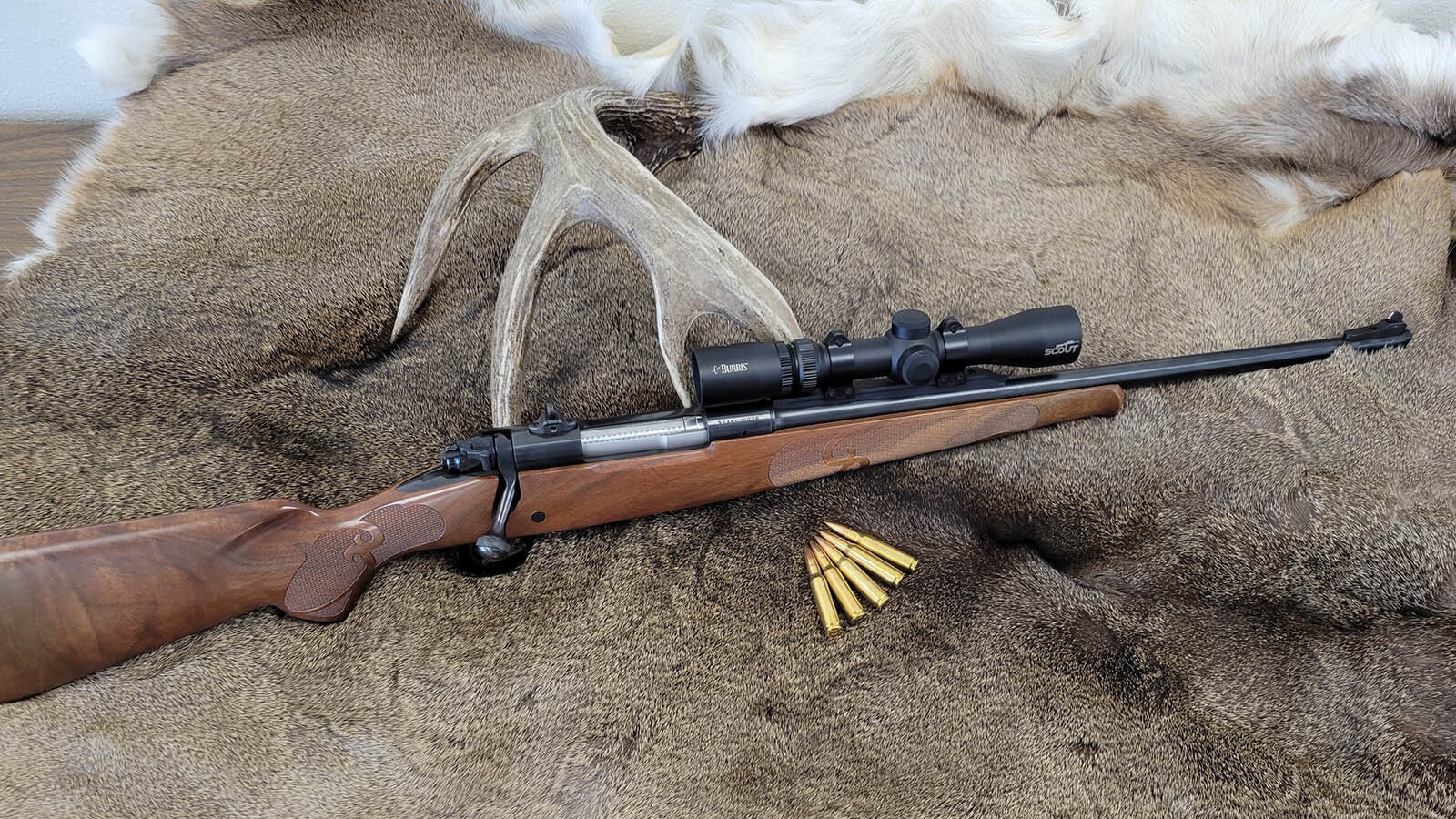 A scout rifle is a short-barreled, all-purpose rifle with a low-powered scope for quick target acquisition. The design was conceived by Marine Corps veteran and legendary small arms expert Jeff Cooper. Van Dorsten Custom Firearms in Sheridan specializes in scout rifles.