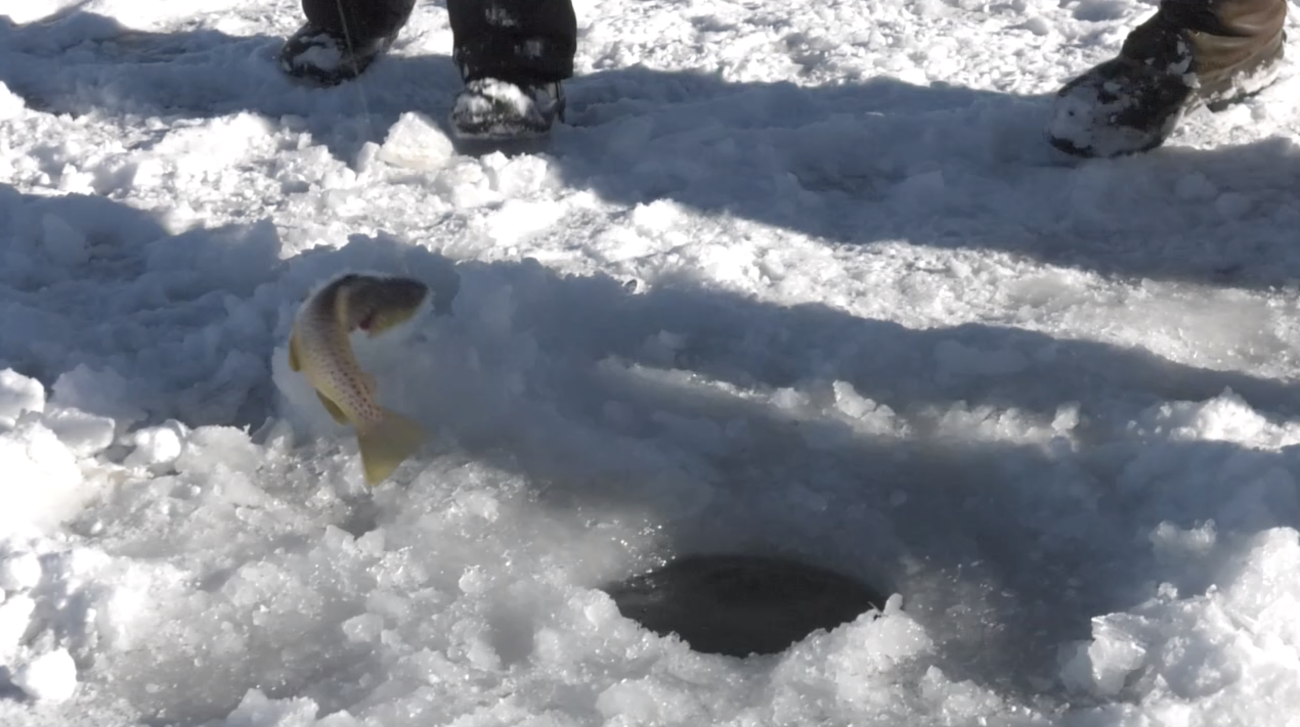 Screen Shot 2019 03 01 at 5 43 08 PM