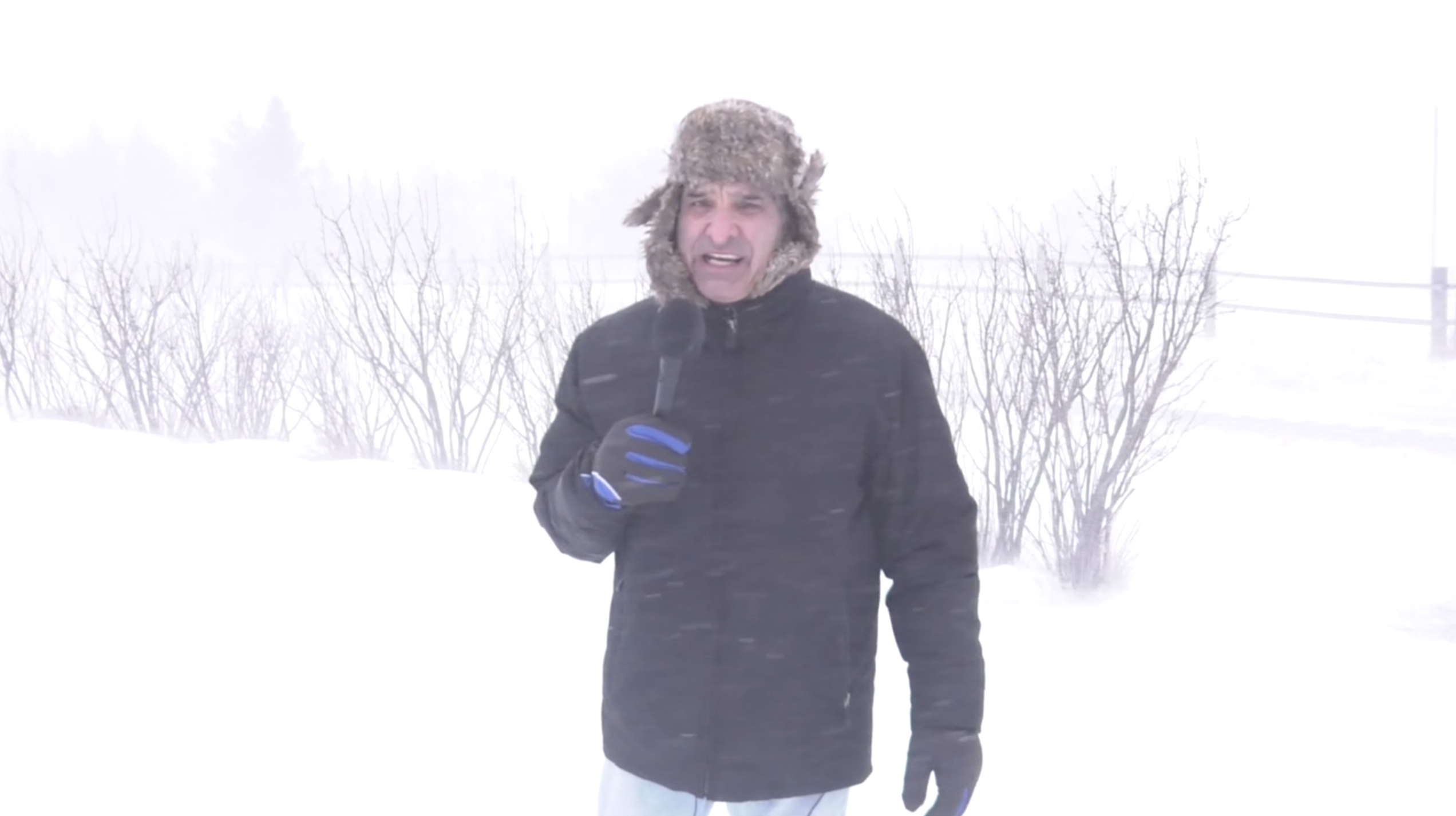 Screen Shot 2019 03 13 at 9 03 18 PM