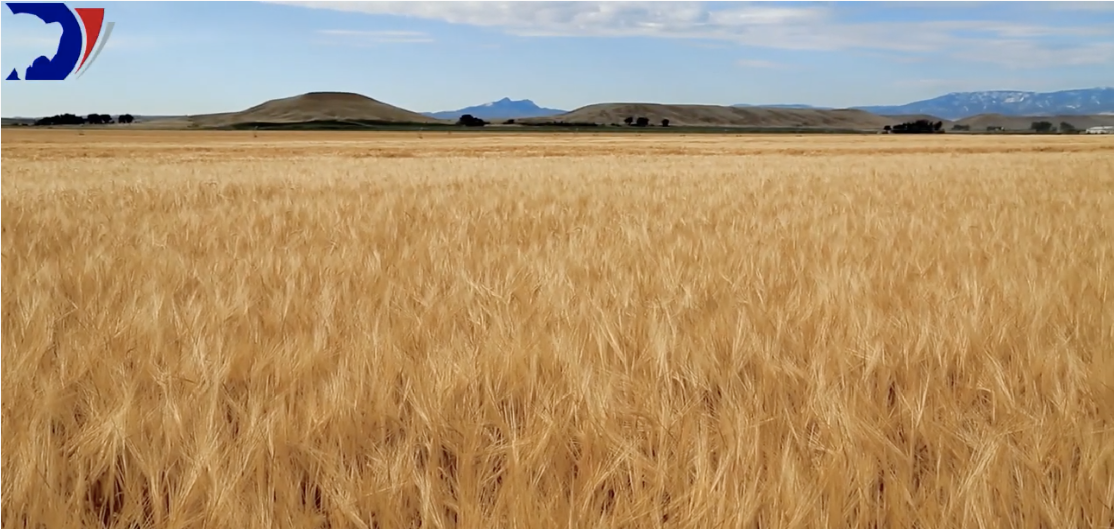 Screen Shot 2019 10 13 at 10 22 45 PM