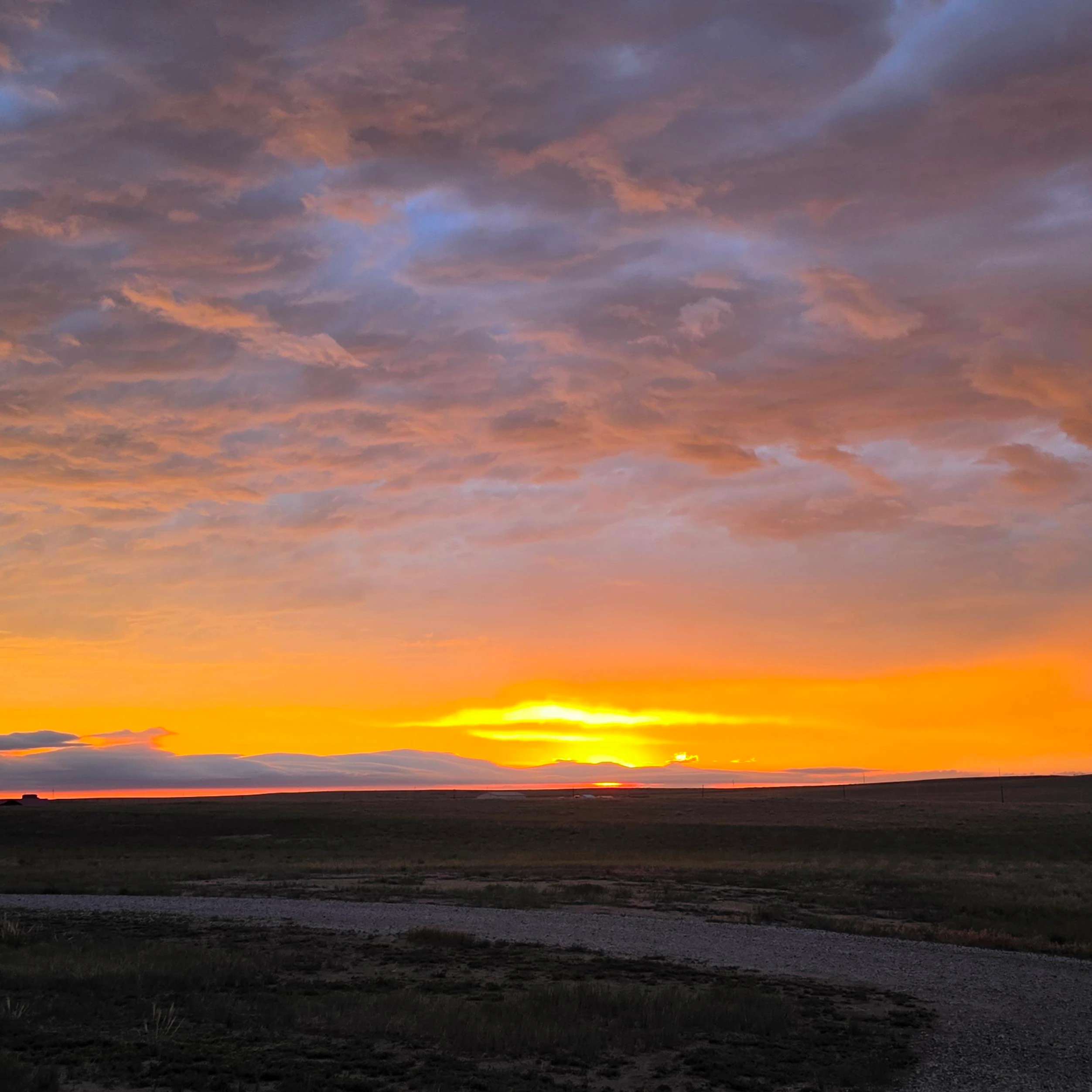 Screenshot 2026 07 03 at 11 48 44 AM