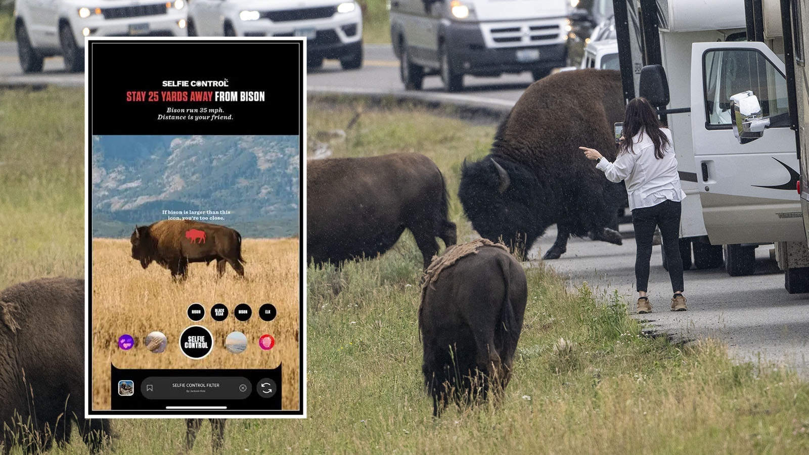 The Selfie Control Instagram filter from the Jackson Hole Travel & Tourism Board tells people when they're too close to take photos of wildlife.