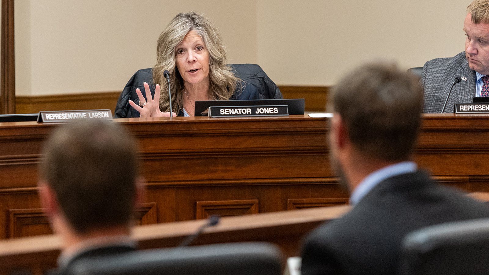 Sen. Stacy Jones asks a question of a witness during Wednesday's Joint Travel, Recreation, Wildlife and Cultural Resources Committee meeting in Cheyenne. It was revealed that the governor's office is considering legal action agains the BLM if it moves forward with its preferred plan to manage 3.6 million acres in southwest Wyoming.