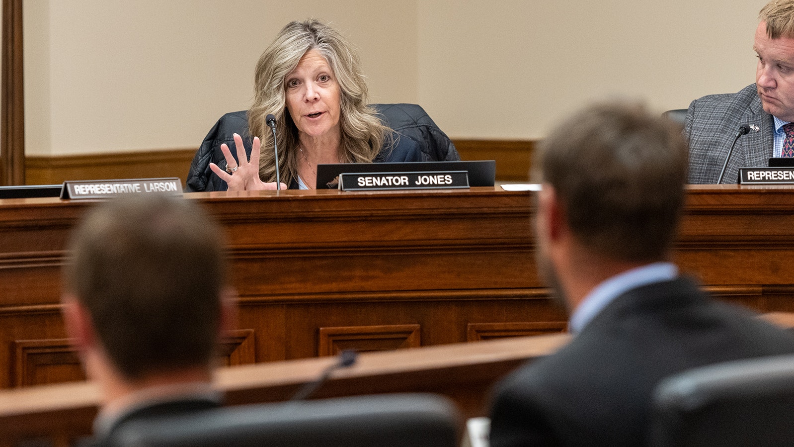 Sen. Stacy Jones asks a question of a witness during Wednesday's Joint Travel, Recreation, Wildlife and Cultural Resources Committee meeting in Cheyenne. It was revealed that the governor's office is considering legal action agains the BLM if it moves forward with its preferred plan to manage 3.6 million acres in southwest Wyoming.