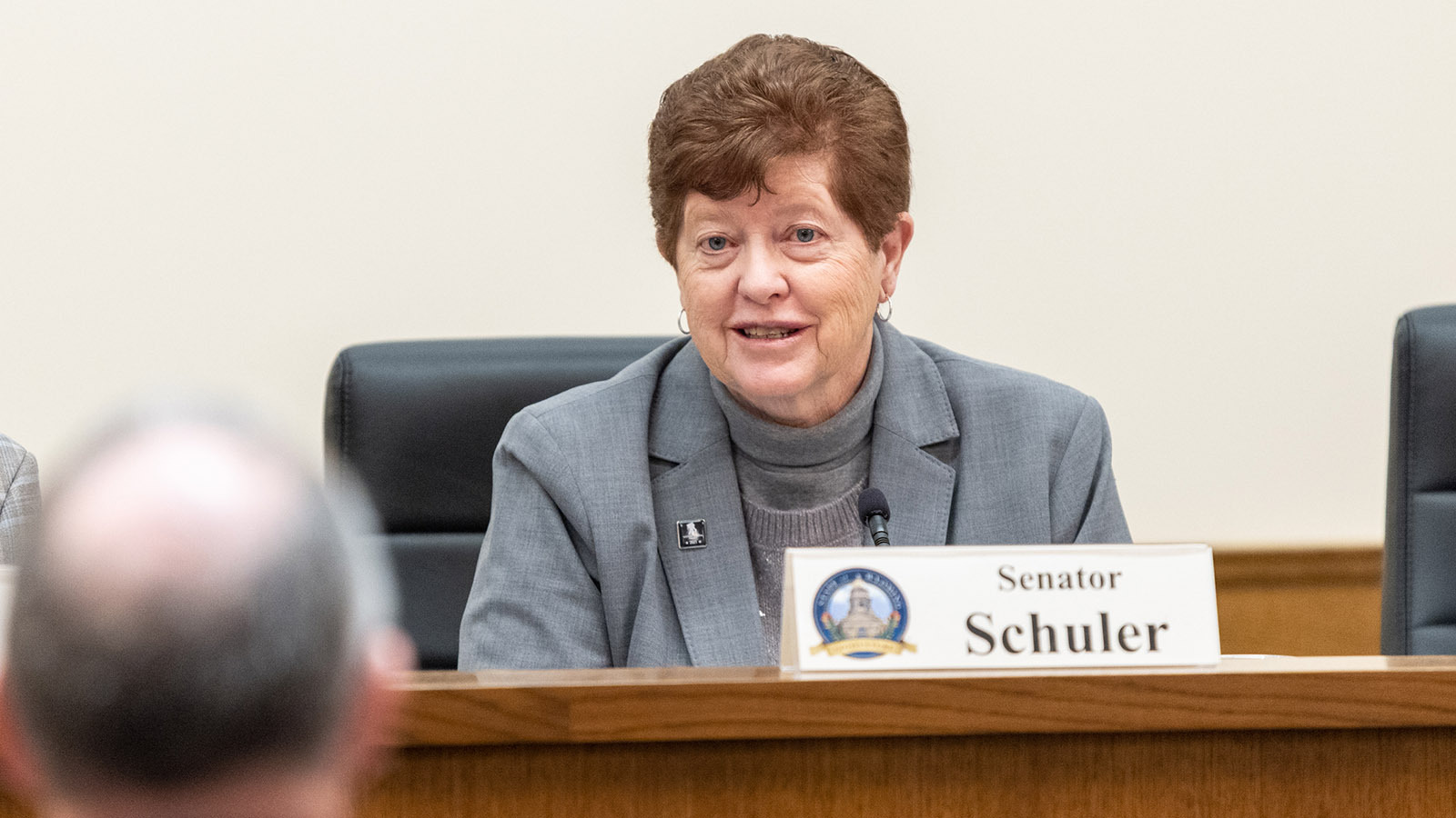 Sen Wendy Schuler in committee 2 2 3 23