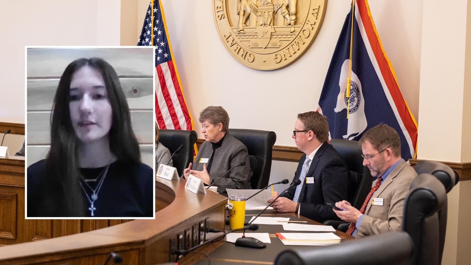 Taylor Peters, a sophomore at Powell High School and an active member of clubs, sports and her church, testified via Zoom on Friday in favor of a bill that would limit bathroom, locker room and shower facilites in school to biological sex.