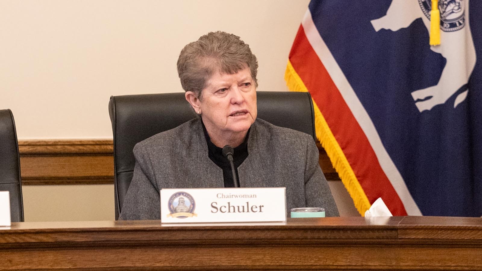 Senate Education Committee Chair Wendy Schuler.