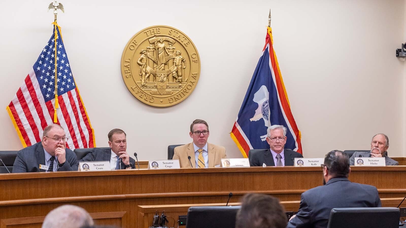 Joey Correnti with Rural Wyoming Matters told the Senate Judiciary Committee he didn’t buy the argument that those serving in the U.S. Congress need to be term-limited to make it easier for new candidates to get elected. “It’s supposed to be hard defending liberty,” said Correnti.