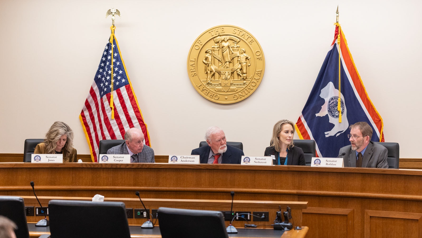 Senate Minerals, Business and Economic Development Committee debates the future of the Wyoming Business Council on Monday at the Capitol in Cheyenne.
