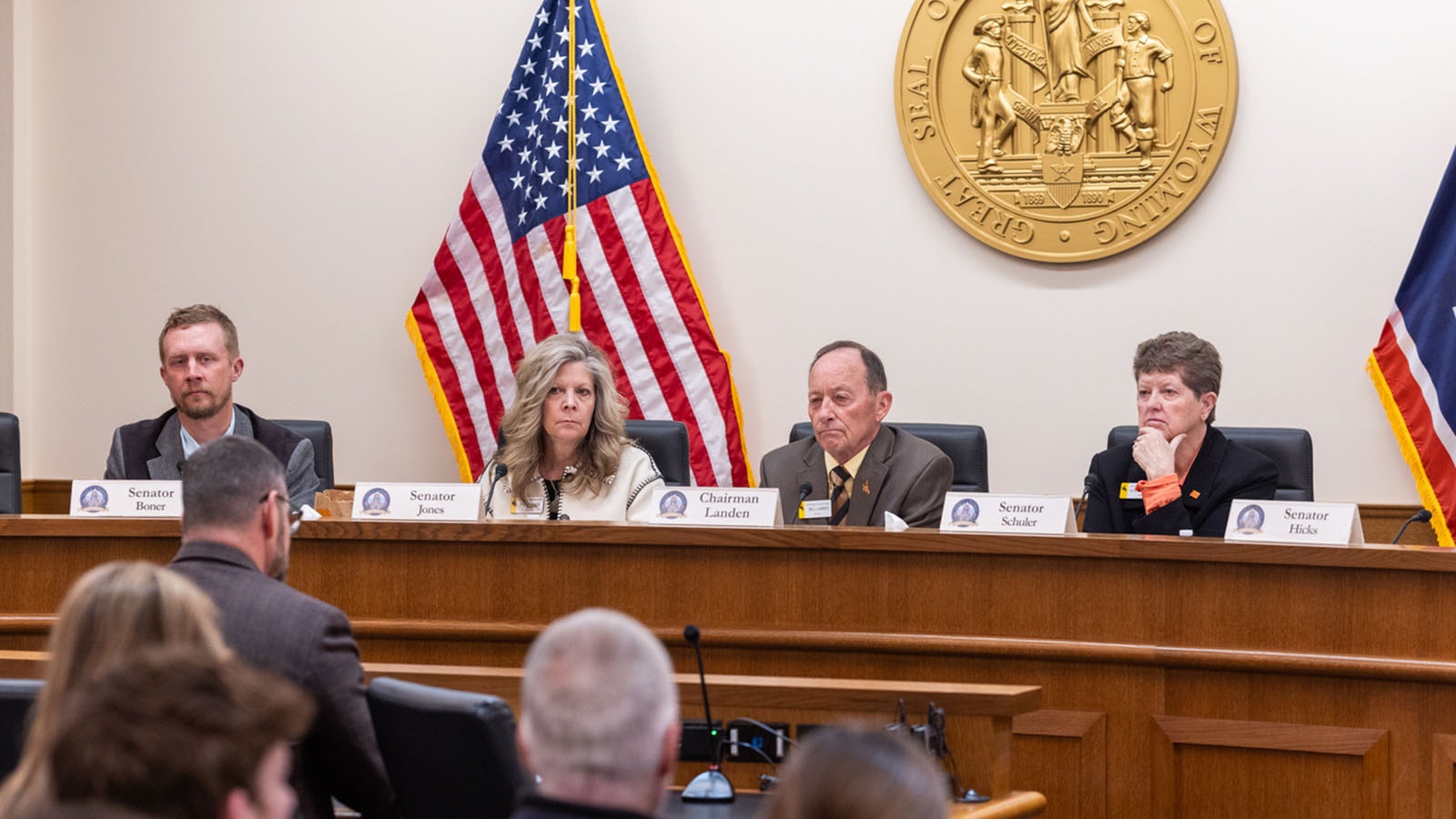 Senate Travel Committee IMG 5849