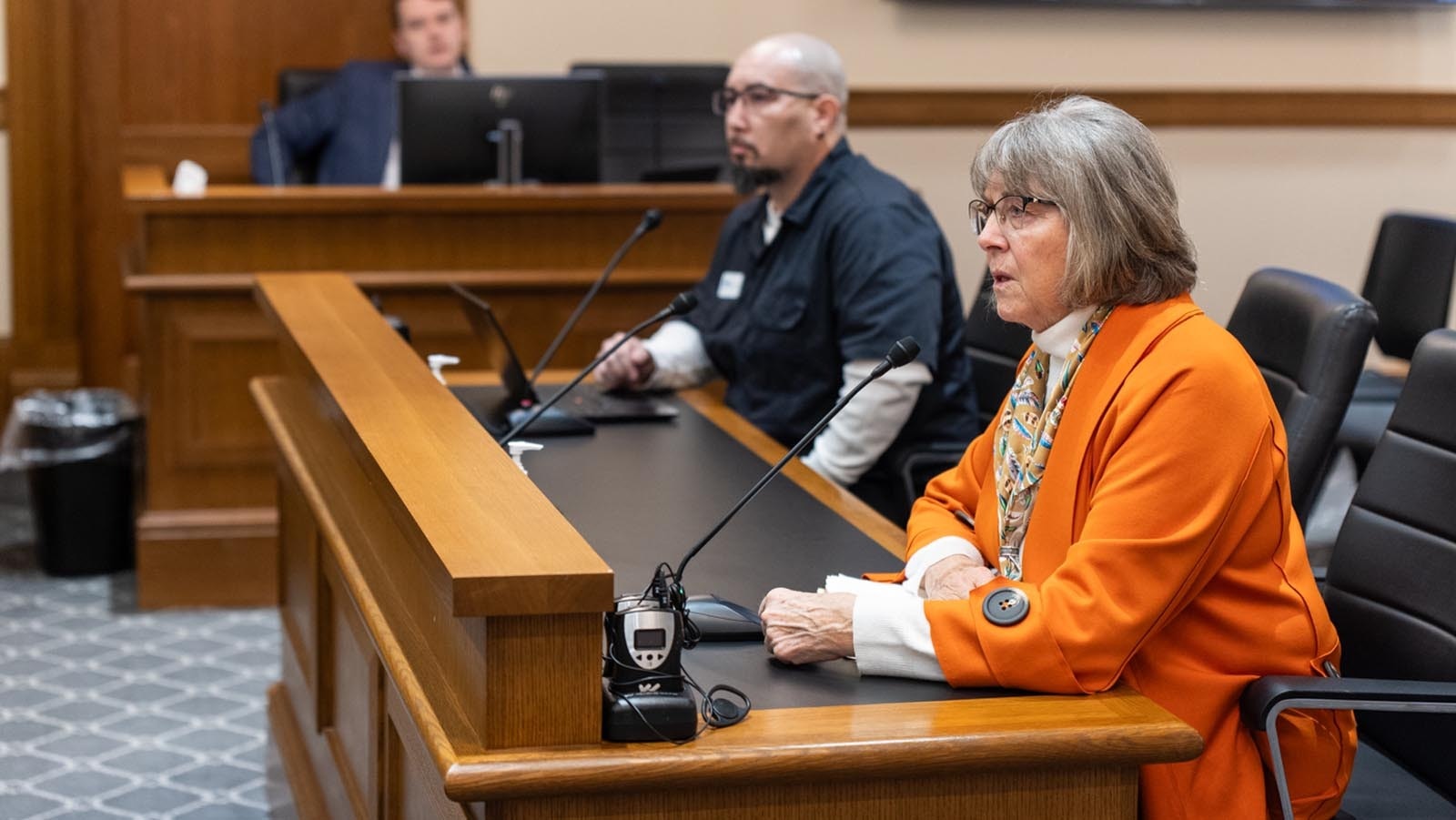 Wyoming Republican Party Executive Director Kathy Russell testifies Feb. 18, 2025, in favor of a bill that would ban illegal immigrants from driving in Wyoming during a meeting of the Sentate Transportion, Highways and Military Affairs Committee, which voted 4-1 to advance the bill to the full Senate.