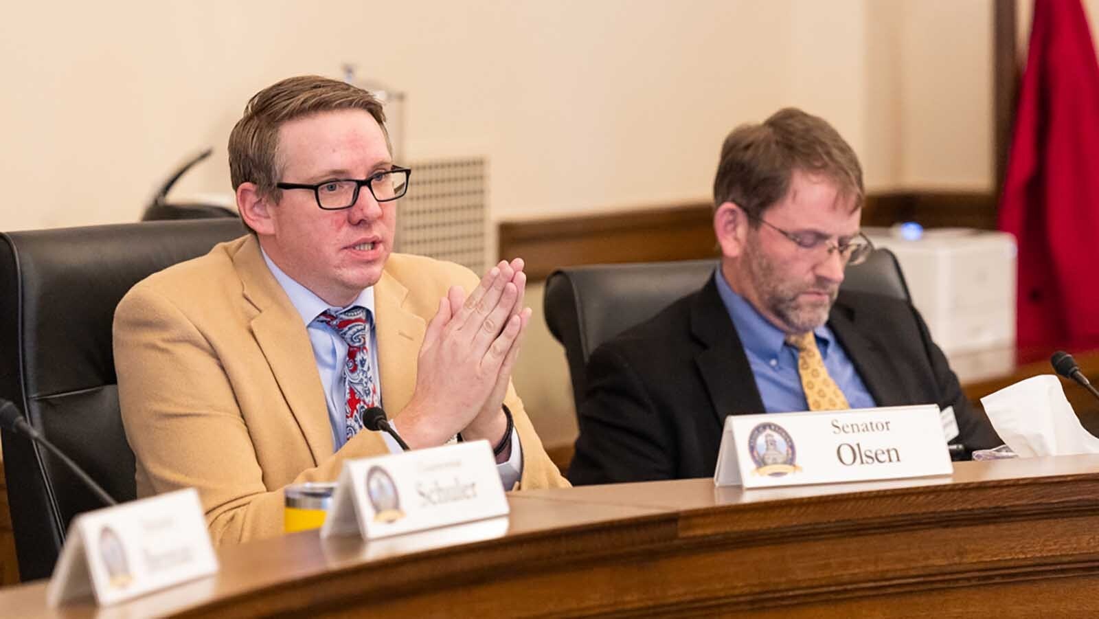 State Sen. Jared Olsen talks about school choice during a Senate Education Committee meeting.