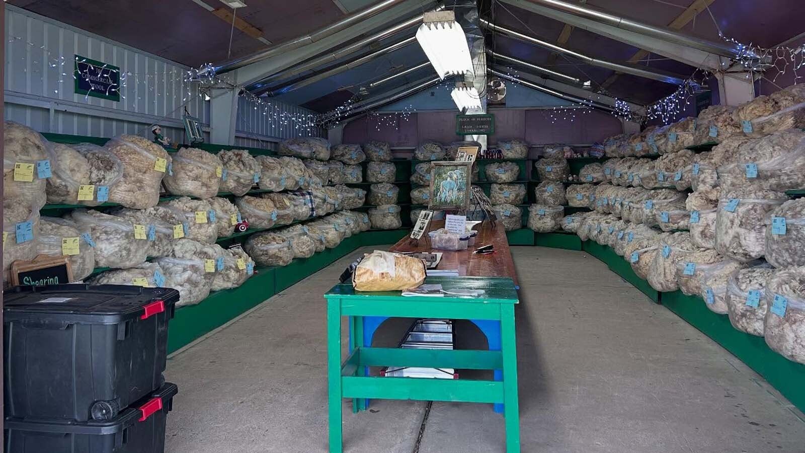 Prized fleeces on display at the Wyoming State Fair.