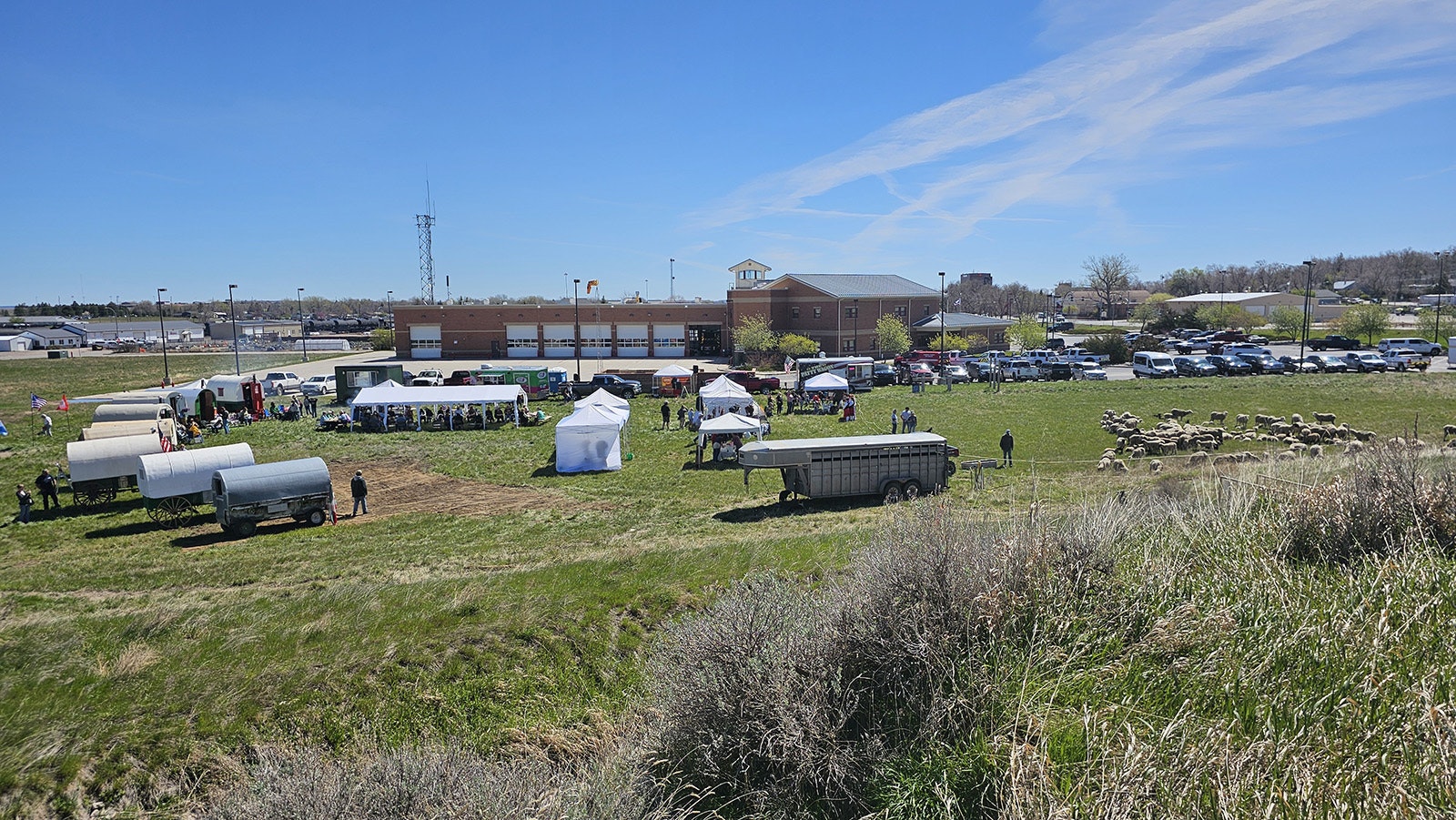 Gillette's third annual Sheepherding Festival included sheep wagons, left, and a herd of sheep, right. In the center, Basque sausages were being served for lunch, and a Basque poet and accordion player were entertaining a crowd.