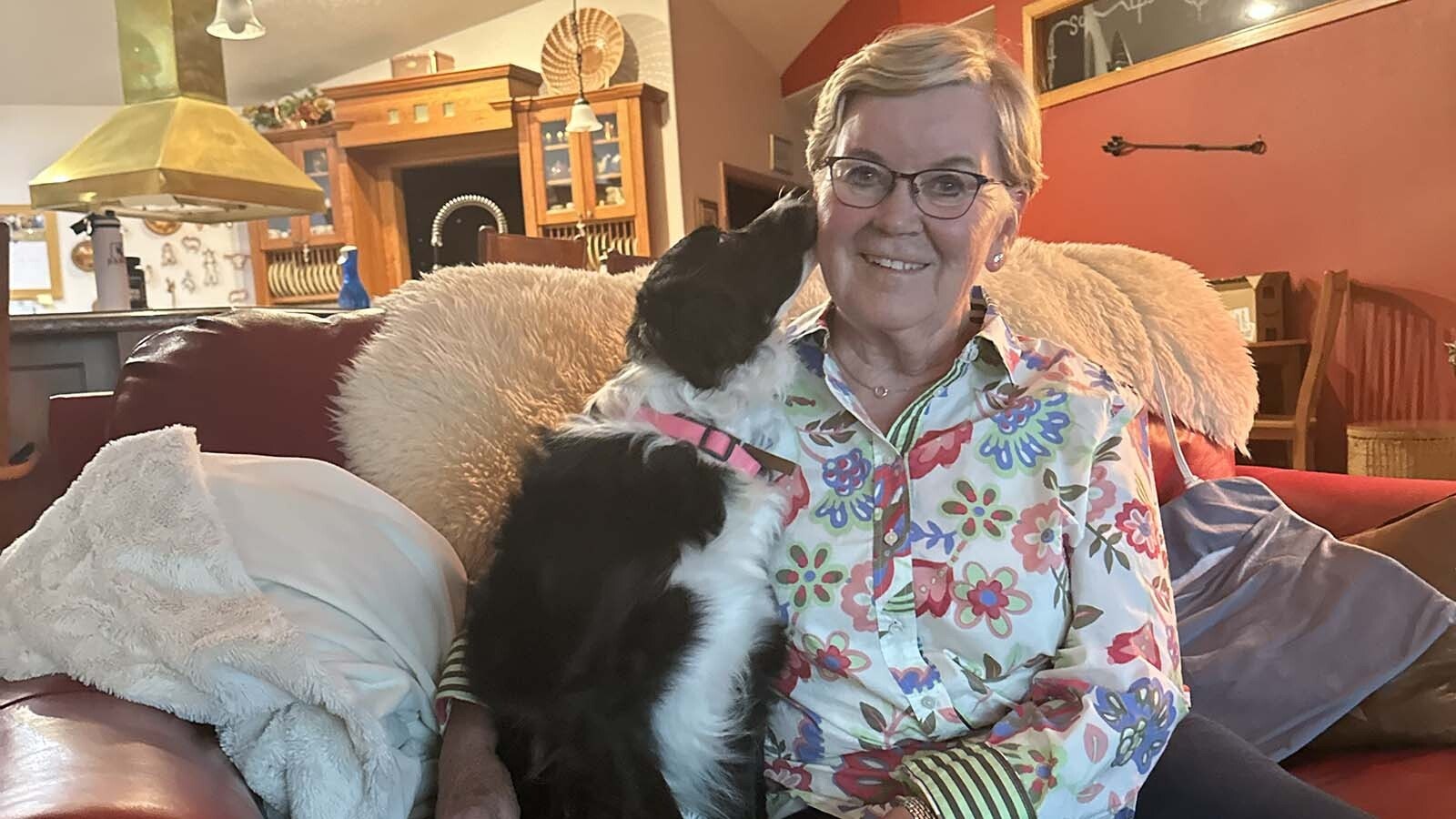 Maya is a border collie that never took to herding sheep at the Warren Livestock Company ranch near Cheyenne. Instead, she gets to hang out in the ranch house with her favorite human, Susan Samuelson.