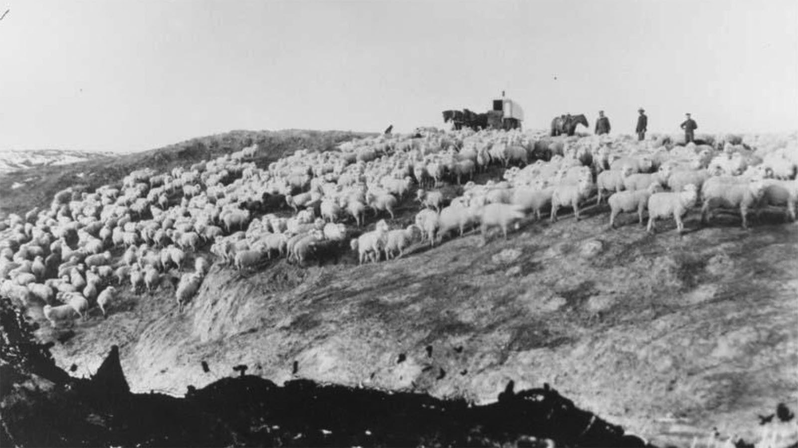 Sheep camps became targets in the early 1900s with raiders using clubs to destroy flocks. Here is a sheep camp near Worland, Wyoming.