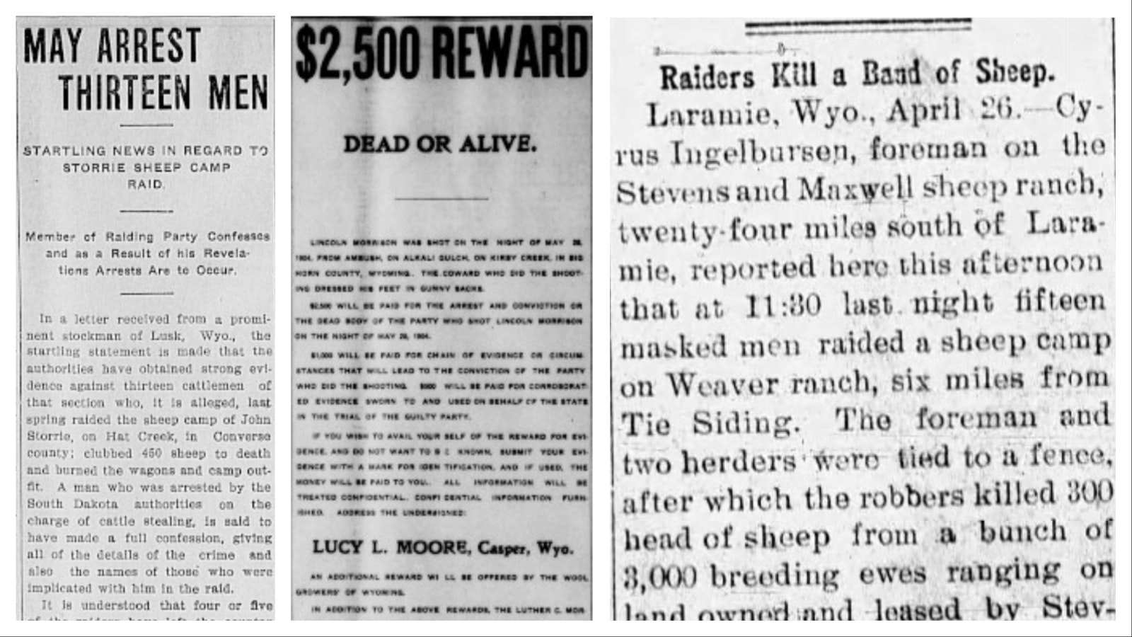 The often violent conflicts between Wyoming's sheep and cattle ranchers were big news in the first part of the 20th century.