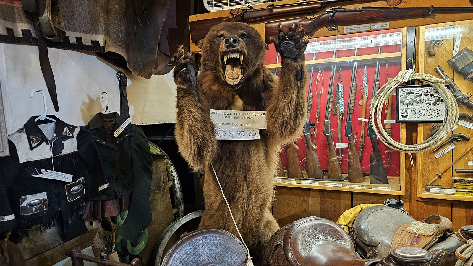 This bear is among items on display at King's Saddlery in its museum.