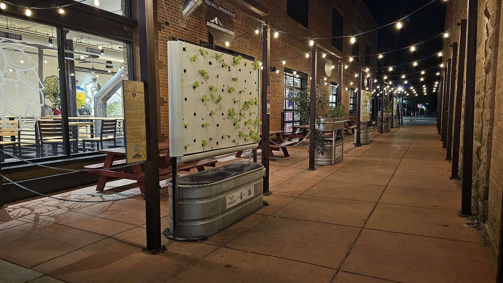 This alley has been devoted to growing fresh greens.