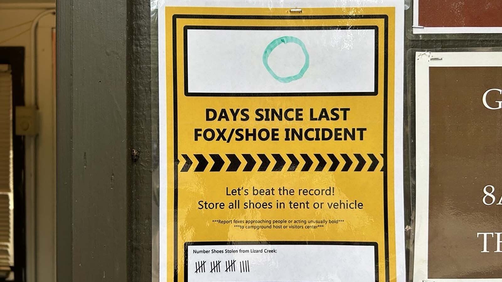 The National Park Service has put up lighthearted signs warning people of a fox, or foxes, stealing shoes from the Lizard Creek campground in Grand Teton National Park.