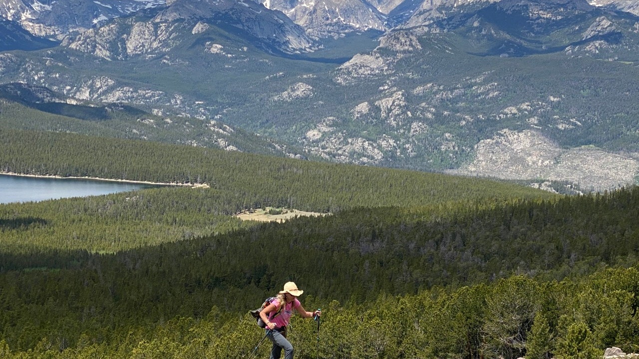 Shoshone Forest 1