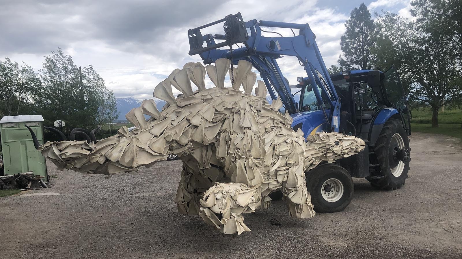 Wes Plummer collected shoulders from bison, elk, cattle and many other animals for three years until he had enough to build a prehistoric dinosaur from modern bones. It's funky, fun and named Windee.