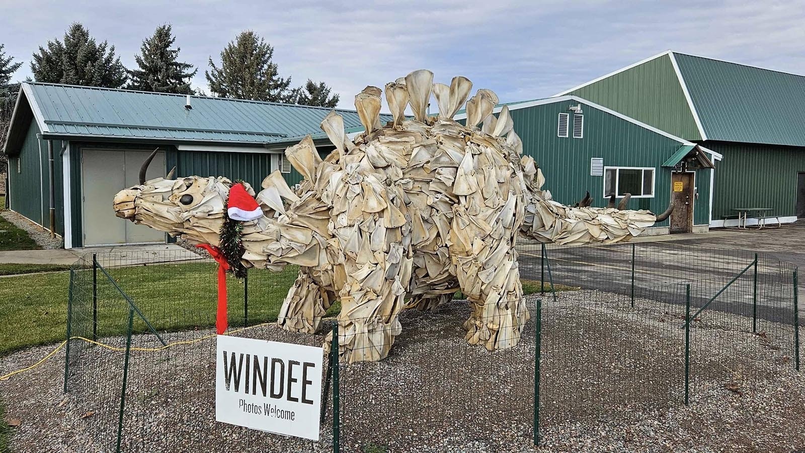 Wes Plummer collected shoulders from bison, elk, cattle and many other animals for three years until he had enough to build a prehistoric dinosaur from modern bones. It's funky, fun and named Windee.