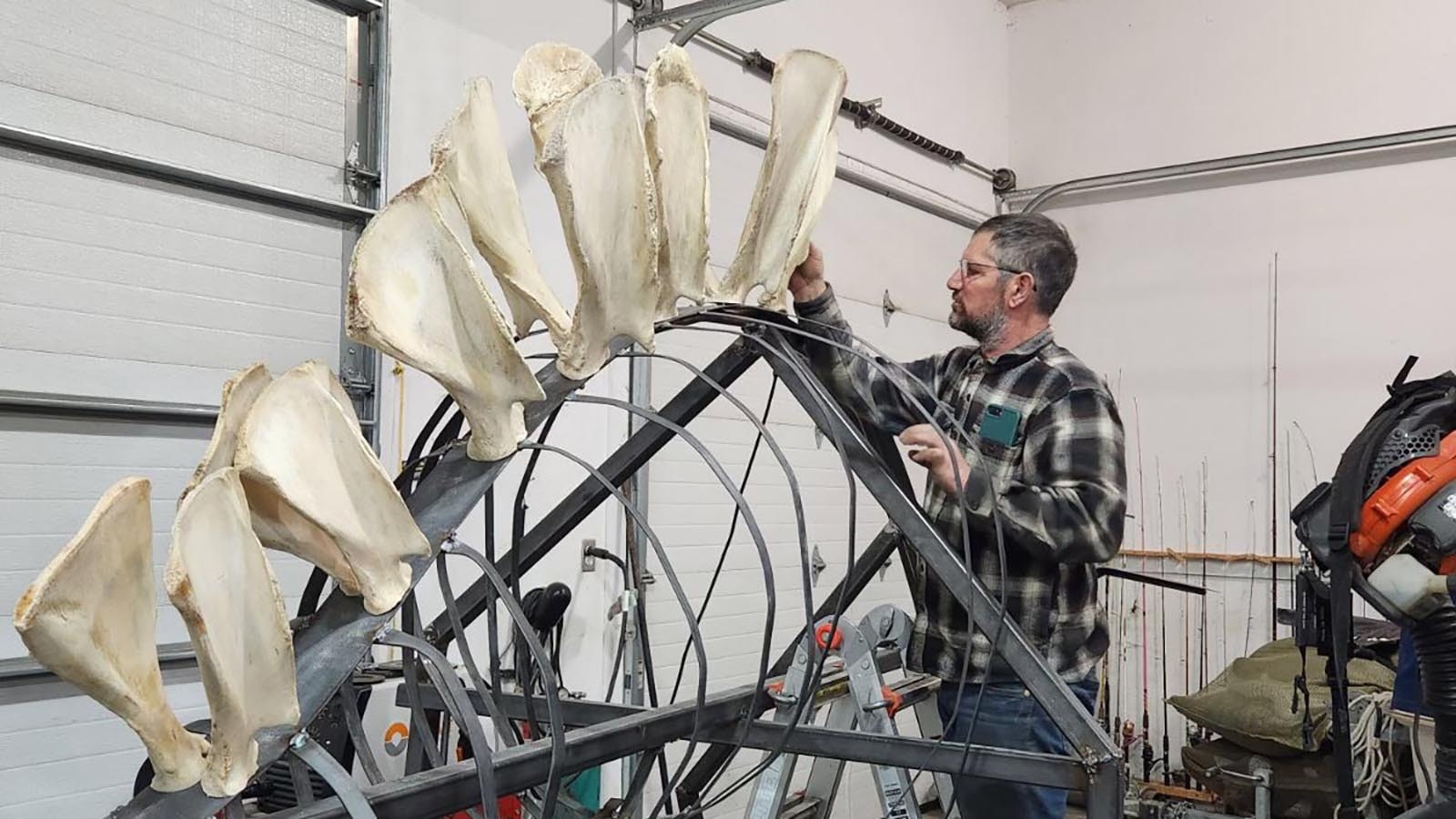 Wes Plummer collected shoulders from bison, elk, cattle and many other animals for three years until he had enough to build a prehistoric dinosaur from modern bones. It's funky, fun and named Windee.