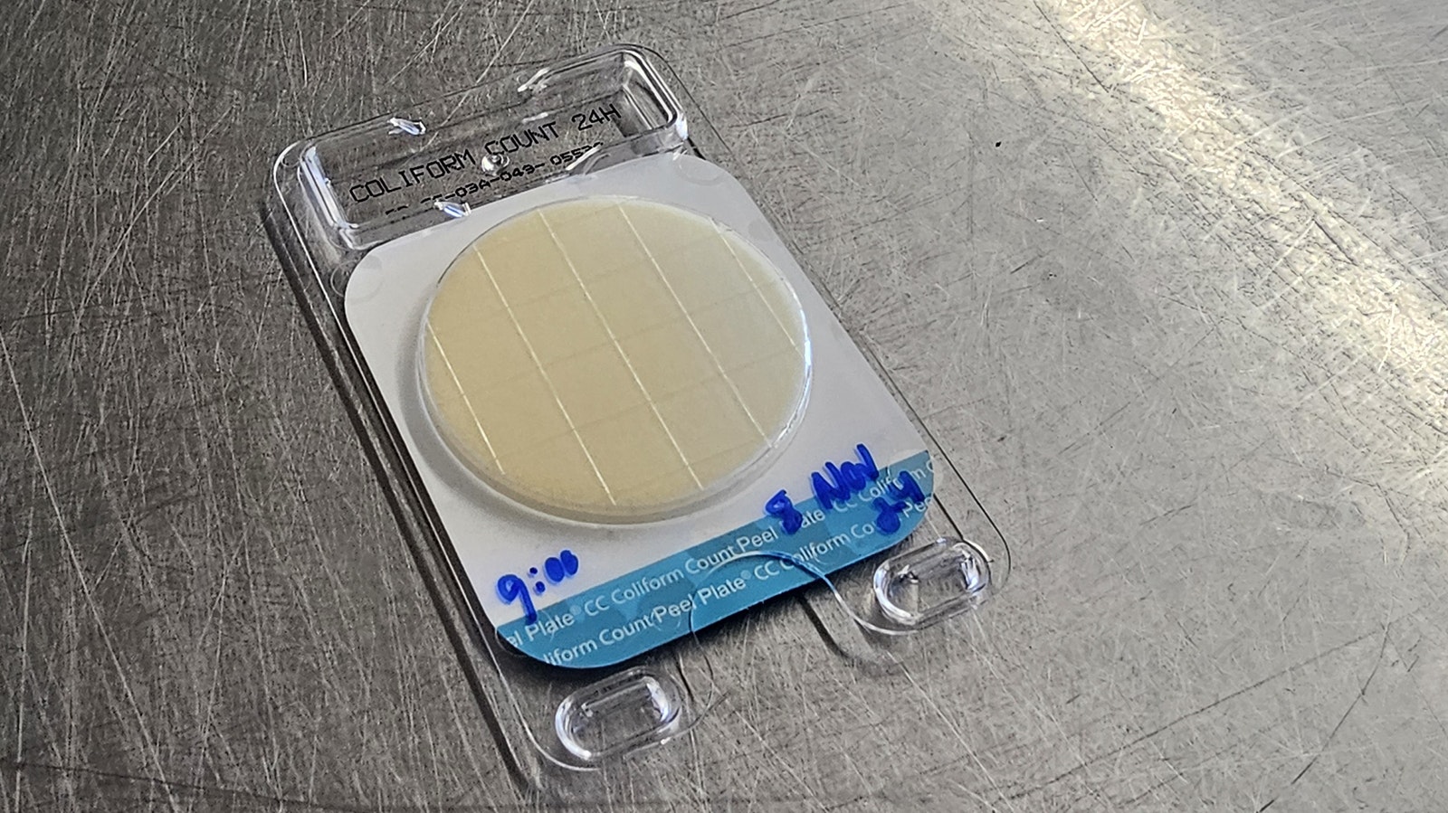 These tests can quickly show bacterial cultures in raw milk. Shumway Farms uses them to ensure that all the milk it bottles is free from harmful bacteria without pasteurization.