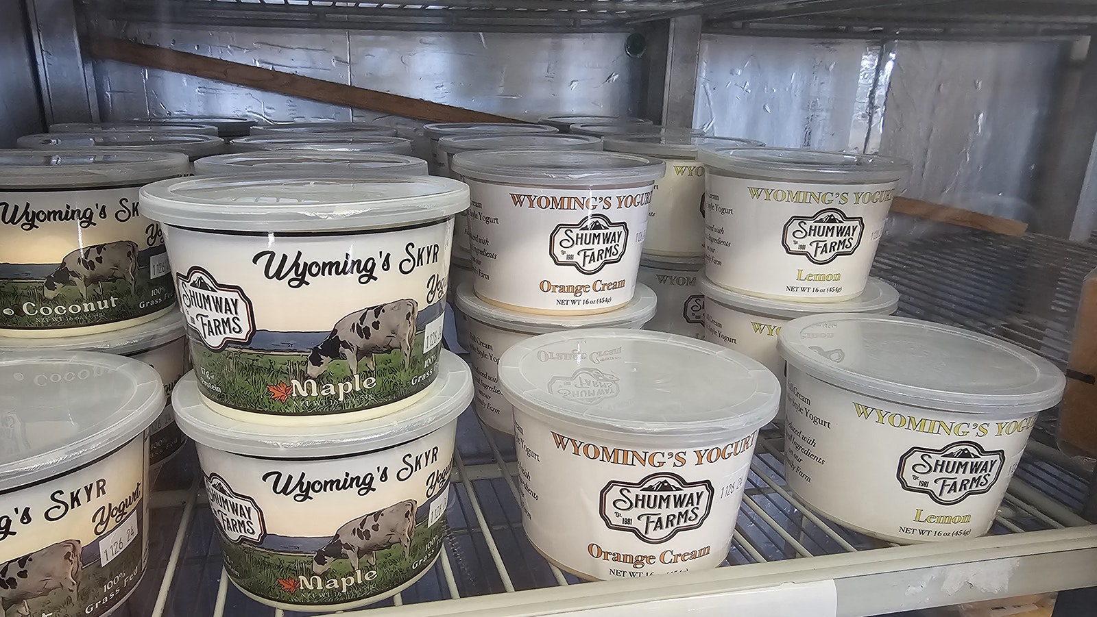 Wyoming's Skyr is made similar to Icelandic skyr, except Shumway Farms uses whole milk not skim. That makes it a creamy, full fat product that's in top demand.