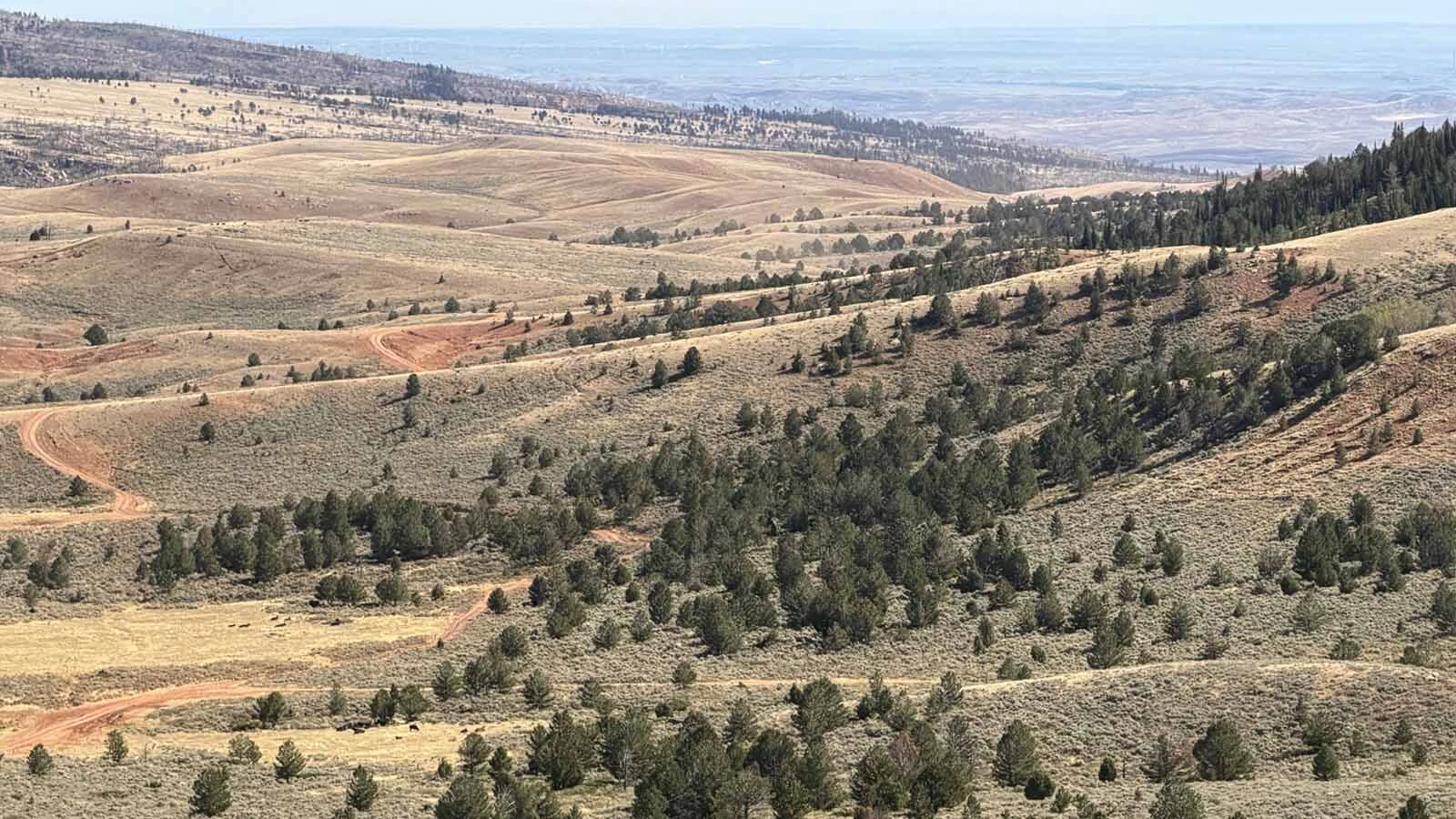 A dirt road winds through the remote country between Casper and Muddy mountains Monday.