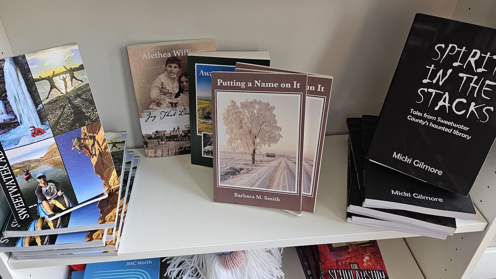 A shelf of books by local authors and artists.